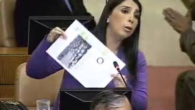 Intervención Karla Rubilar mar 3 de julio 2012 - Reforma Constitucional смотреть онлайн