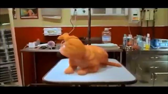 Федосей - Я любимый всеми кот - Хулиганский Блатной Шансон NEW смотреть онлайн