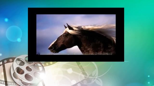 Самые красивые лошади в мире. Лошади высшего класса. top class horse смотреть онлайн