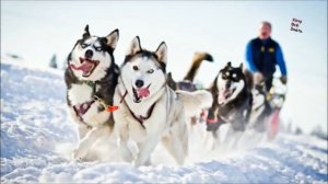 Антарктида  Интересные факты