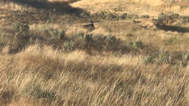 GROOVY FLOW!! смотреть онлайн