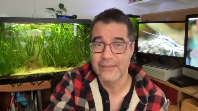 Greg Pak Inversion Announcement смотреть онлайн
