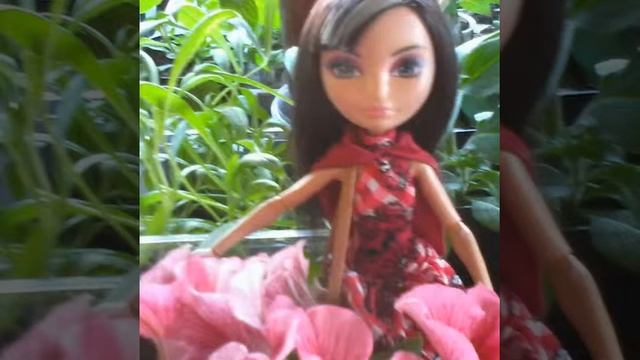 Слайд шоу с куклой смотреть онлайн