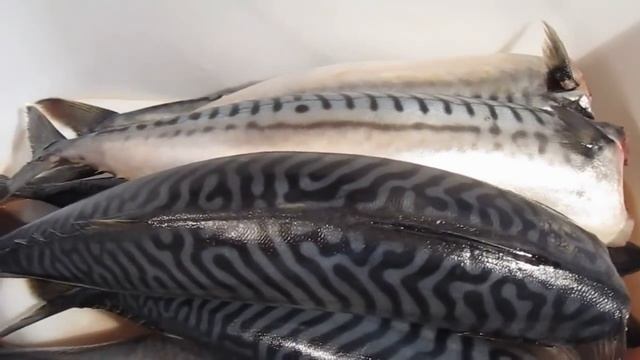 Обучение Игре на Инструменте