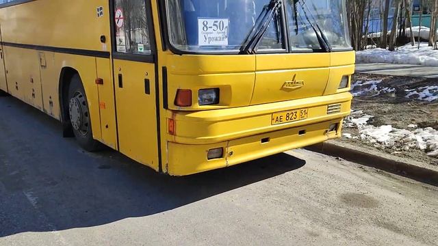 Ветеран!!! МАЗ-152. 062,год выпуска 2007!!! Отдых, после выполнения утреннего рейса с СЗФК!!! смотреть онлайн