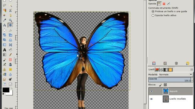 composizione_part2.flv смотреть онлайн