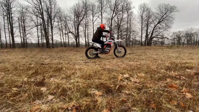 Вилли на kayo k4 день #2 смотреть онлайн