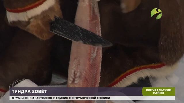 На Ямале этностойбище «Нерня Миндя» открыло двери для всех желающих смотреть онлайн