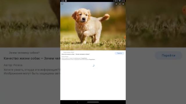 Как скачать картинку из Google? смотреть онлайн