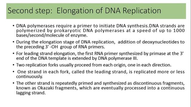 DNA Replication in Prokaryotes| Initiation, Chain Elongation and Termination |E.coli | Nucleic acid смотреть онлайн