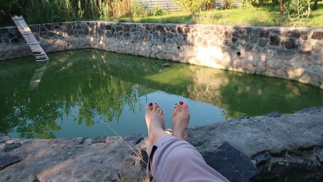 ВСЯ СЕМЬЯ В СБОРЕ || СТРАШИЛКИ НА НОЧЬ смотреть онлайн