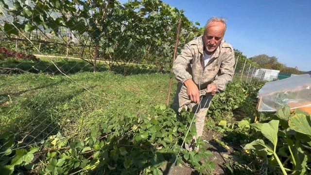 Эпиляция бикини: как достичь идеальной гладкости?