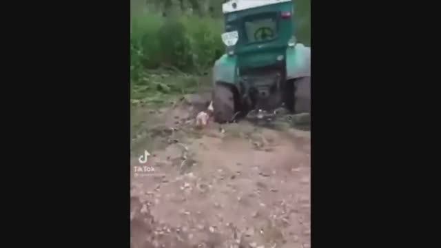 Мем My name is Giovanni Giorgio but. Sufficient IQ to be a tractor driver (Джованни Джорджио) смотреть онлайн