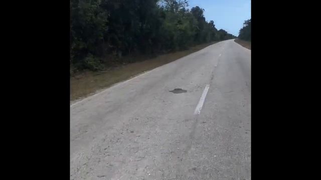 Отдых на Кубе, Кайо-Коко, Memories Caribe Beach Resort , 2021. Cuba, Cayo-Coco