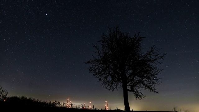 Расслабляющие звуки ночной природы, пение лесных птиц, звуки леса, для сна и медитации. смотреть онлайн