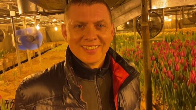 Обзор котла на 500 кВт на калиброванном угле. Отапливает теплицу где выращиваю тюльпаны к 8 Марта. смотреть онлайн