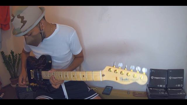 Fender James Burton Telecaster Blue Paisley Flame смотреть онлайн