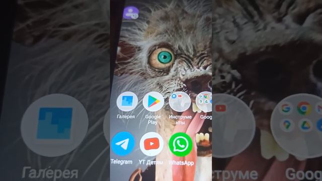 Нудные недоброкеры. И глупый Ибрагим.