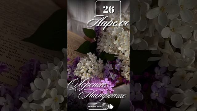 Доброе утро ПЯТНИЦА смотреть онлайн