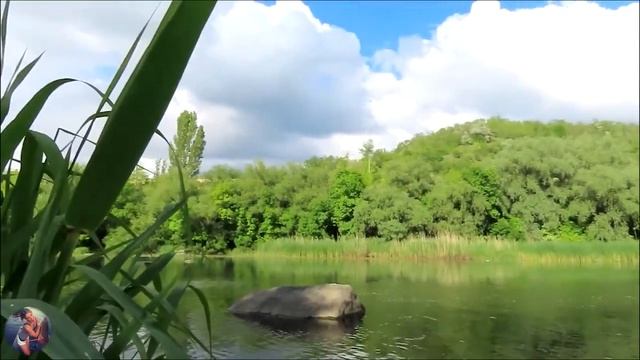 ПОРОЛОНОВАЯ убийца карася! Рыбалка на карася. смотреть онлайн