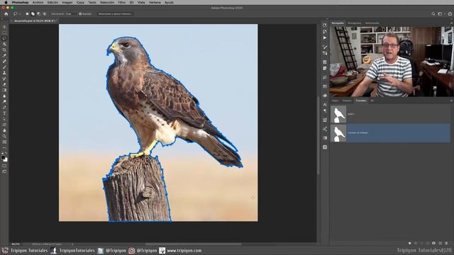 Cómo vectorizar una imagen en 2 PASOS MUY FÁCIL | PHOTOSHOP TUTORIAL смотреть онлайн