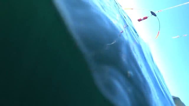Прогулка на лодке бухта Бойсмана август 2018 смотреть онлайн