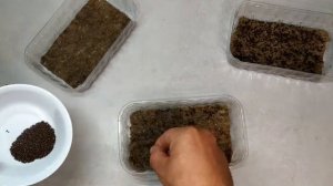 Как посадить семена микрозелени на льняной коврик