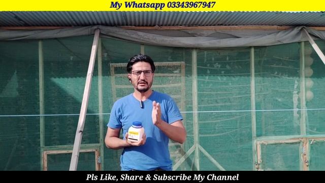 Best Multivitamins For All Birds | Java Finch Breeding Formula Vitasol Super | Folic Acid & Calcium смотреть онлайн