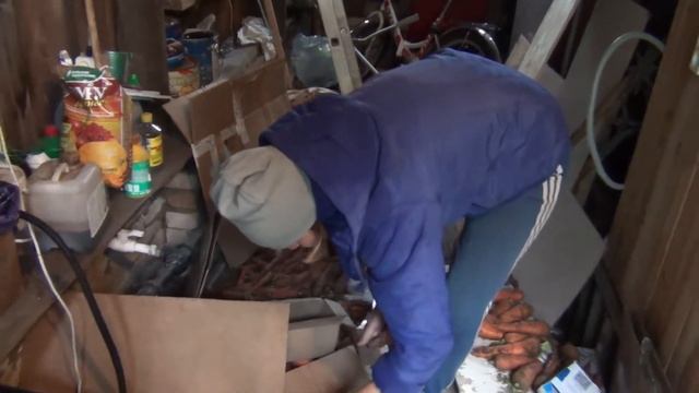 ГРЯДКИ КОМПОСТНИК МОРКОВЬ смотреть онлайн