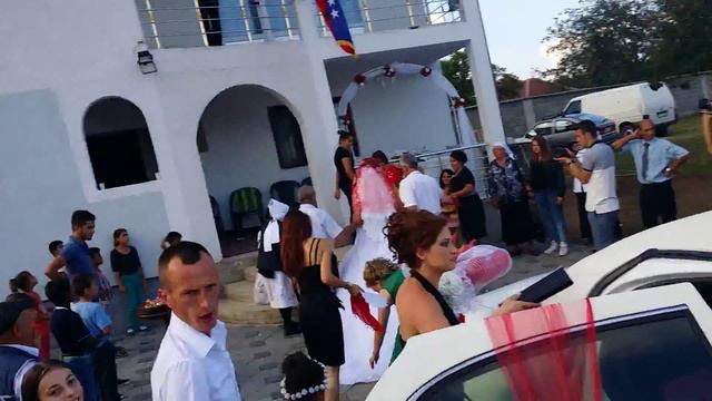 Art limo salloni ondulimit mimoza D смотреть онлайн