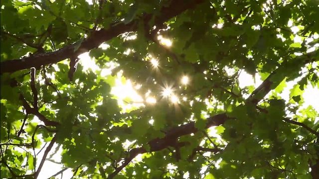 Почувствуйте связь с вашим истинным я: медитация для нахождения своего предназначения смотреть онлайн