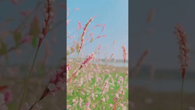 Лера Астрооберег, делает прогноз за 23 мая. Смотреть сейчас! смотреть онлайн