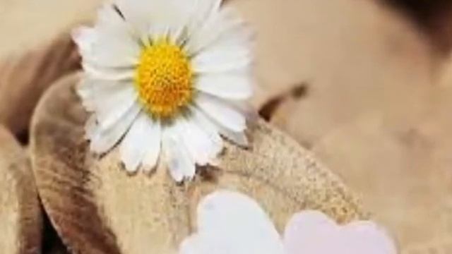 Видео про Семью/Любовь, Семья, Счастье смотреть онлайн