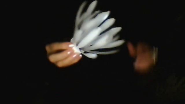 Цветы из пластиковых бутылок! Очень просто и очень красиво! смотреть онлайн