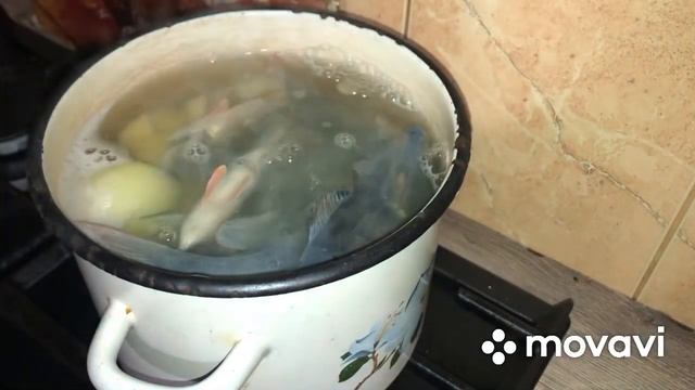 Классическая Слобожанская Уха из Окуня !!! смотреть онлайн