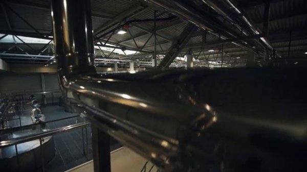 Главное о «НьюБио»