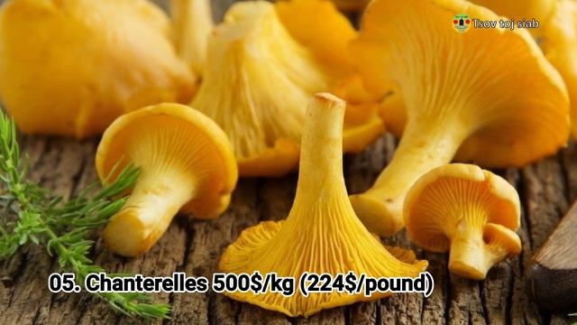 10 yam nceb ua muaj nqis tshaj plaws hauv qab ntuj/Top ten most expensive mushroom in the world смотреть онлайн