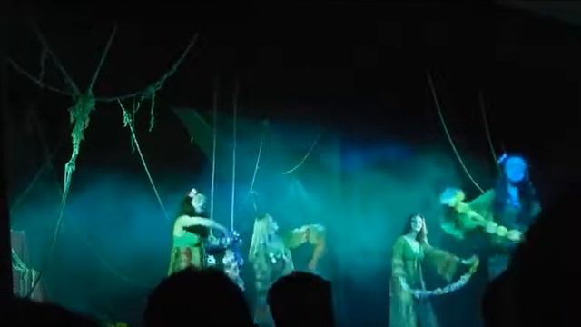 Херсонская гимназия № 1 , 11-А класс, 2016 год, последний урок смотреть онлайн