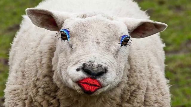 МБА, я весь в кредитах нах смотреть онлайн