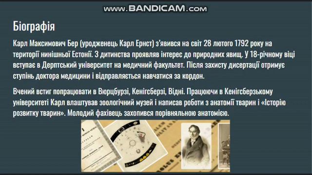 Семінарна робота на тему "Біографія (Х. Шпеман, К. Бер, С. Навашин) та їх вклад в розвиток біології смотреть онлайн