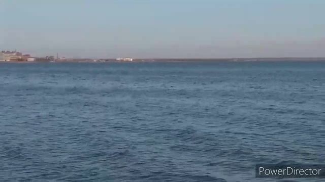 Алтайский край. Немецкий район. Николаевка. 2020 год. смотреть онлайн