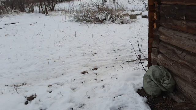 Ноябрь на Алтае - это осень? зима или весна? Несколько дней из нашей новой жизни. 11-15 ноября 2022 смотреть онлайн
