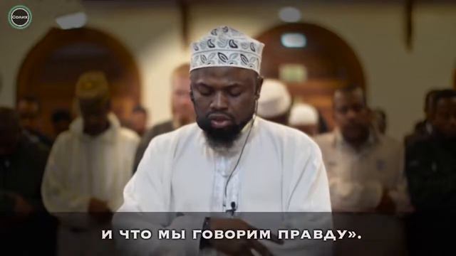 сура Ан-Намль. Окаша Камени смотреть онлайн