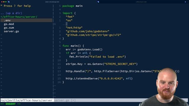 Go net/http Starter смотреть онлайн