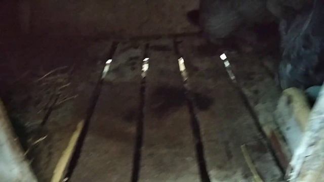 Что делать с крольчихой , когда раскидывает крольчат смотреть онлайн