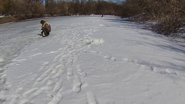 Окунь на мормышку . Закрытие зимнего сезона смотреть онлайн