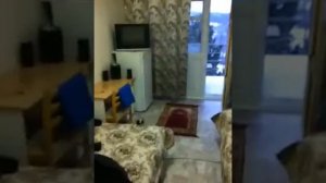 Гад Мага ) малява Ханчику