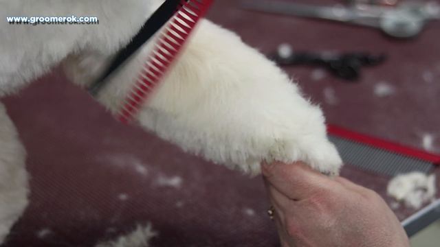Lhasa apso - Full dog grooming смотреть онлайн