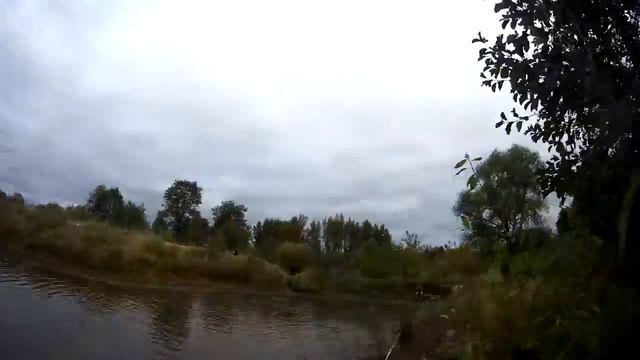 Игры патриотов 20.09.17 Владимир смотреть онлайн