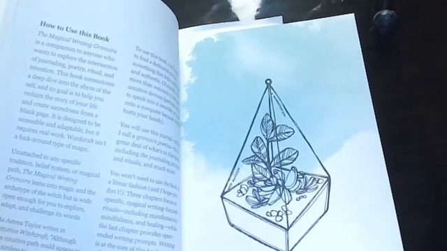 Witch Reviews 'The Magical Writing Grimoire' by Lisa Marie Basile смотреть онлайн